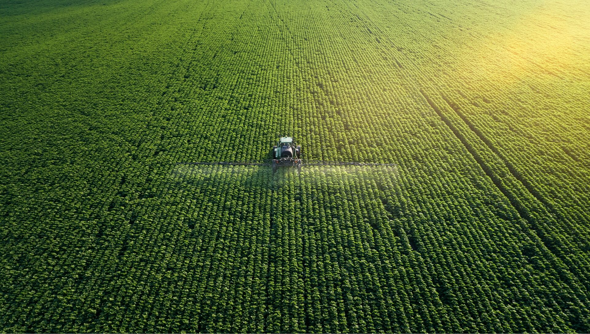 Photo กิจกรรม CSR