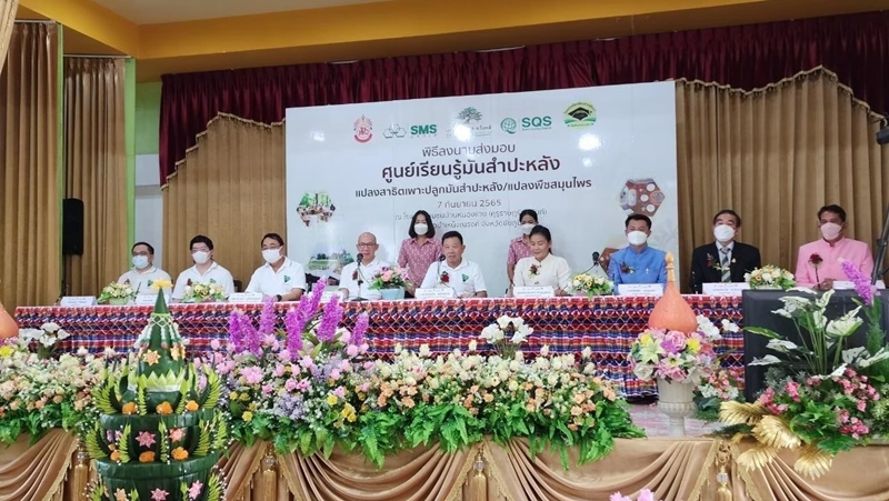 โครงการโรงเรียนมันสำปะหลัง